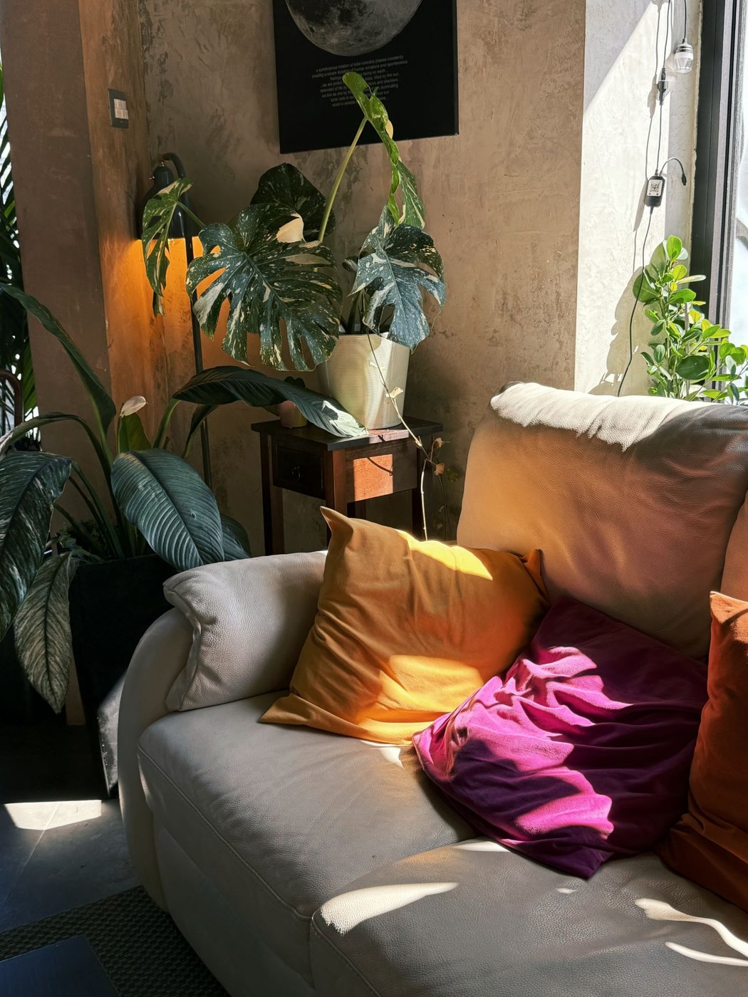 FYSA's sofa corner in the afternoon light, among plants and colourful cushions