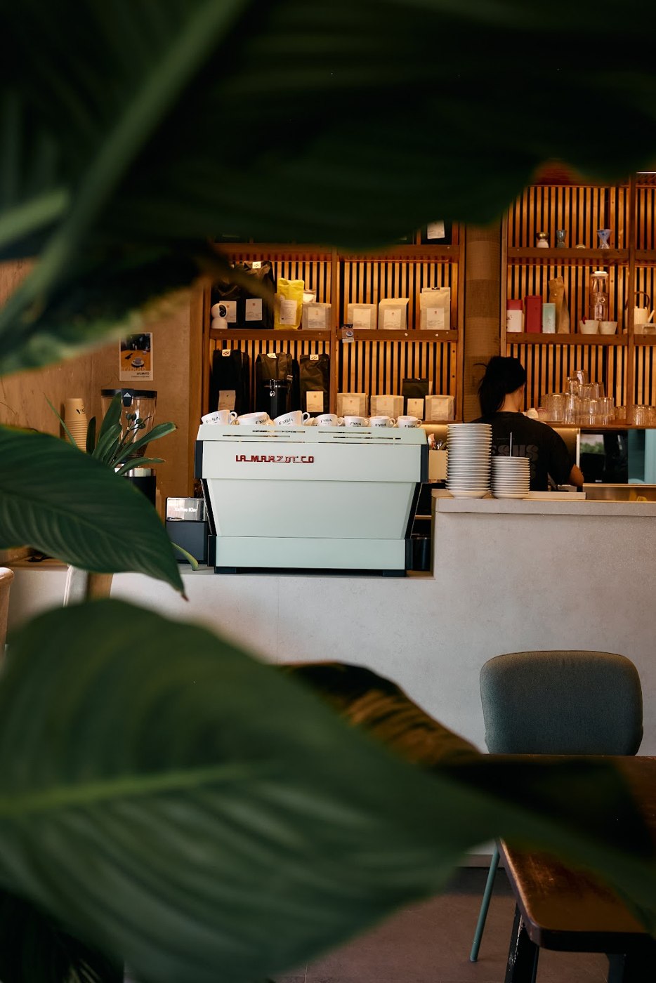 The La Marzocco espresso machine at FYSA's counter, seen through the plants